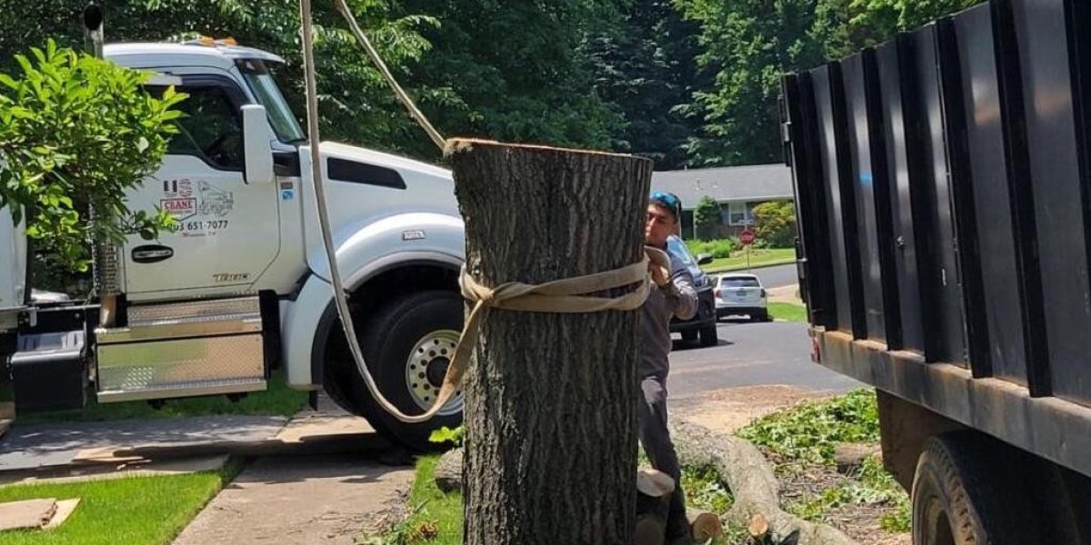 How To Do Safe and Efficient Tree Removal