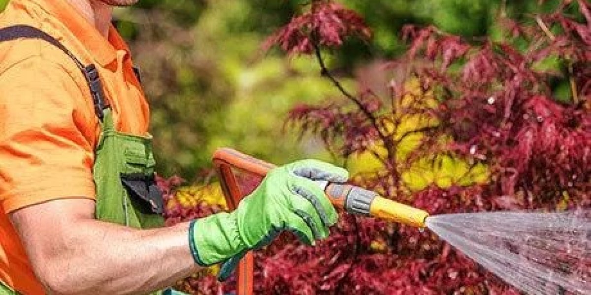 Yard maintenance charlotte nc