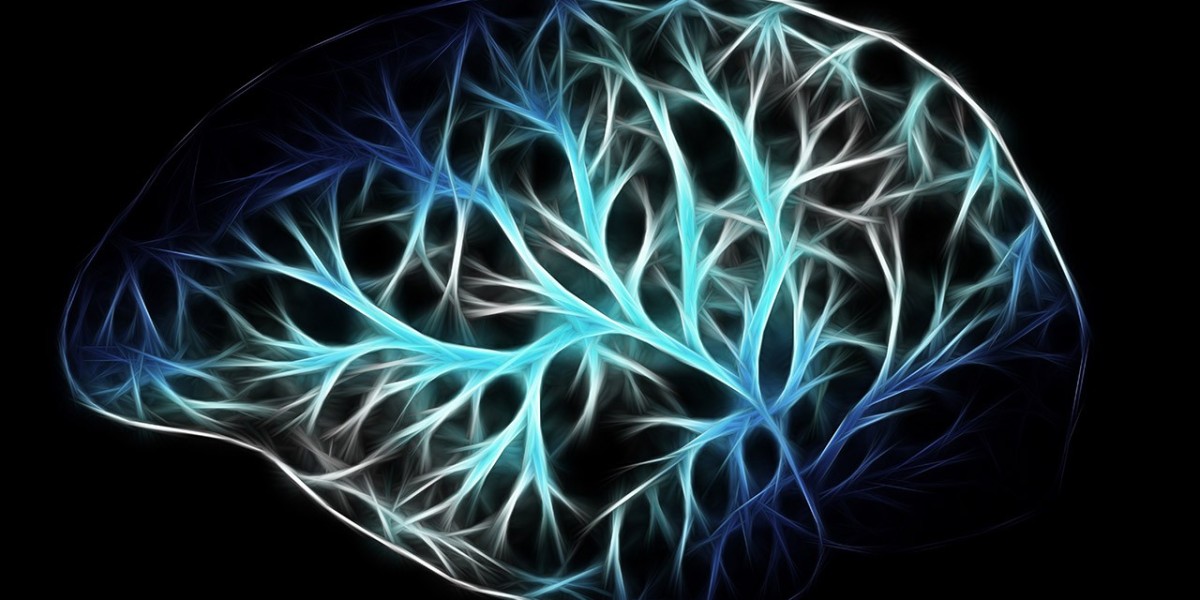 Neuronal calcium imaging technology is an important tool in current neuroscience research
