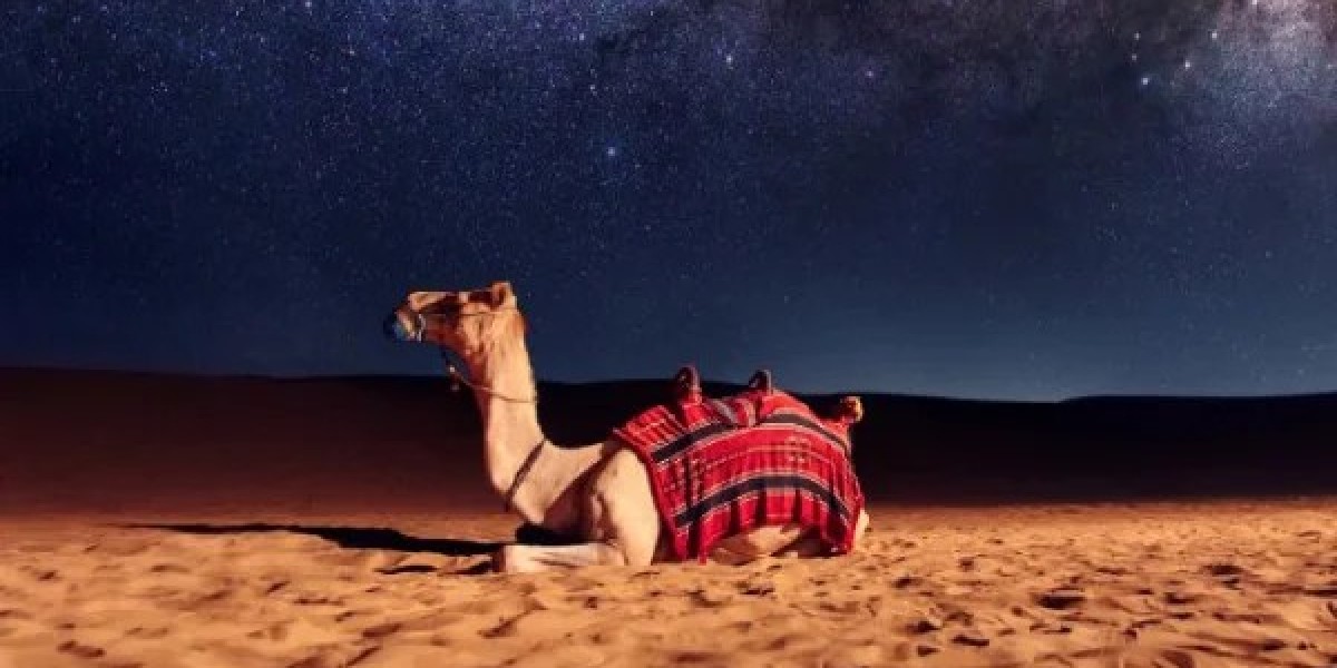 Experience the Magic of a Camel Safari in Jaisalmer: A Journey Through the Golden Desert