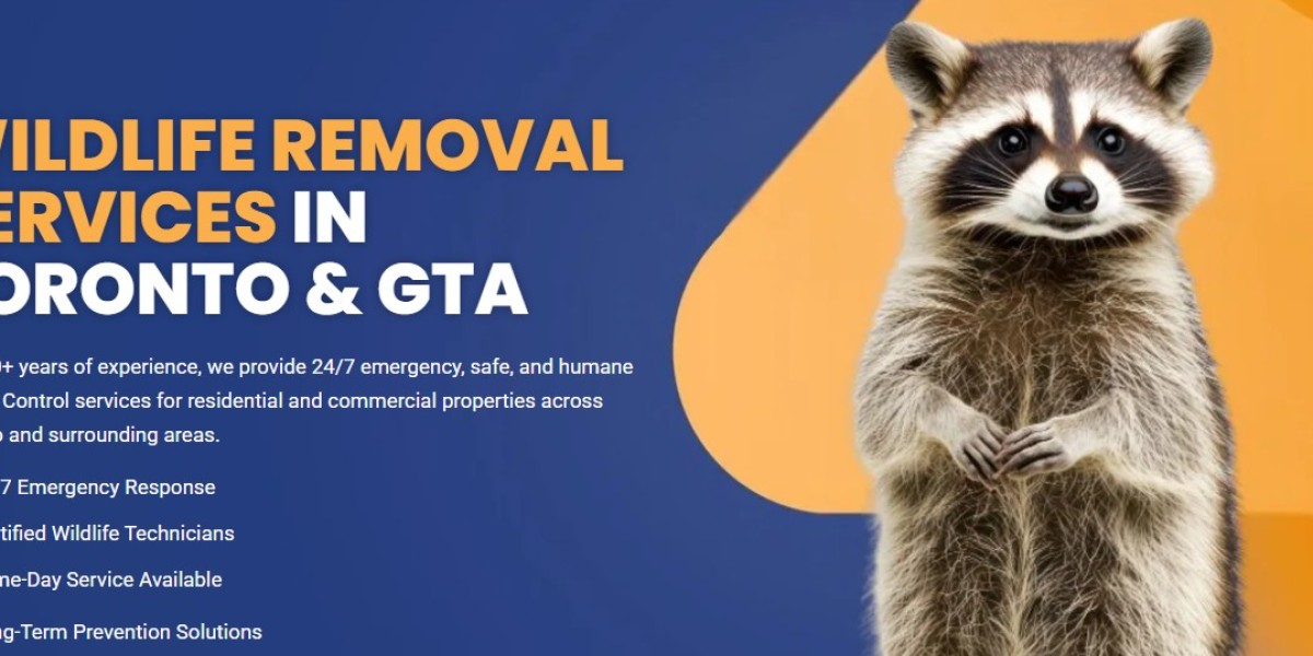 Wildlife Removal Brampton – Everything Homeowners Need to Know