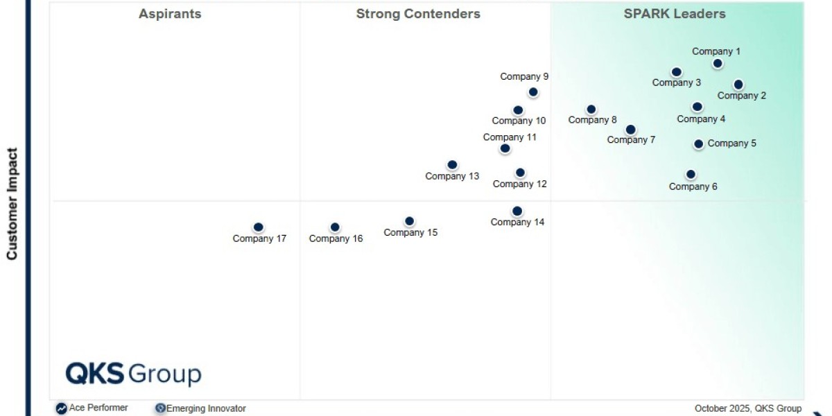 Strengthening Software Security: Insights into the Application Security Testing Market