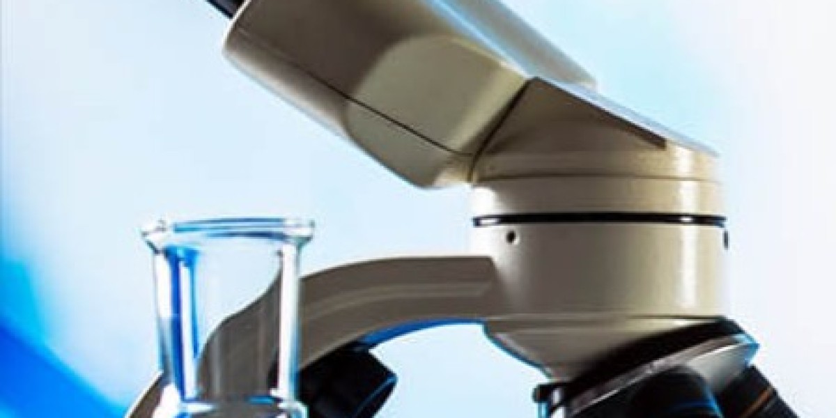 Anti-β-Gal Antibody Development Service