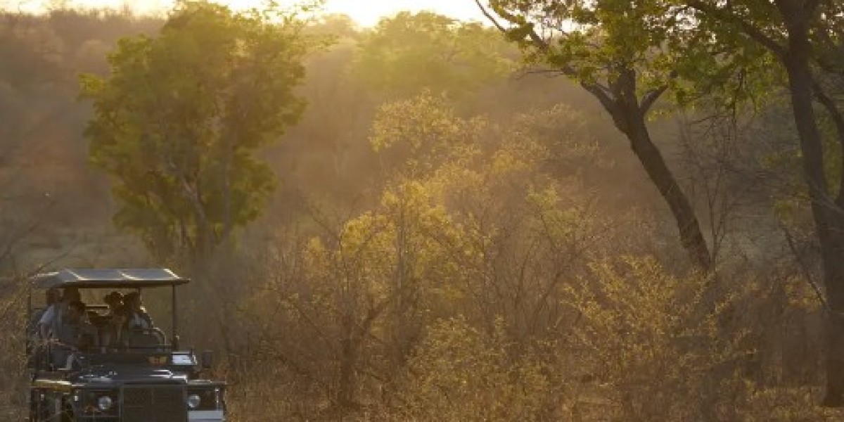 Tanzania Safari – A Deep Journey Into Africa’s Most Complete Wilderness