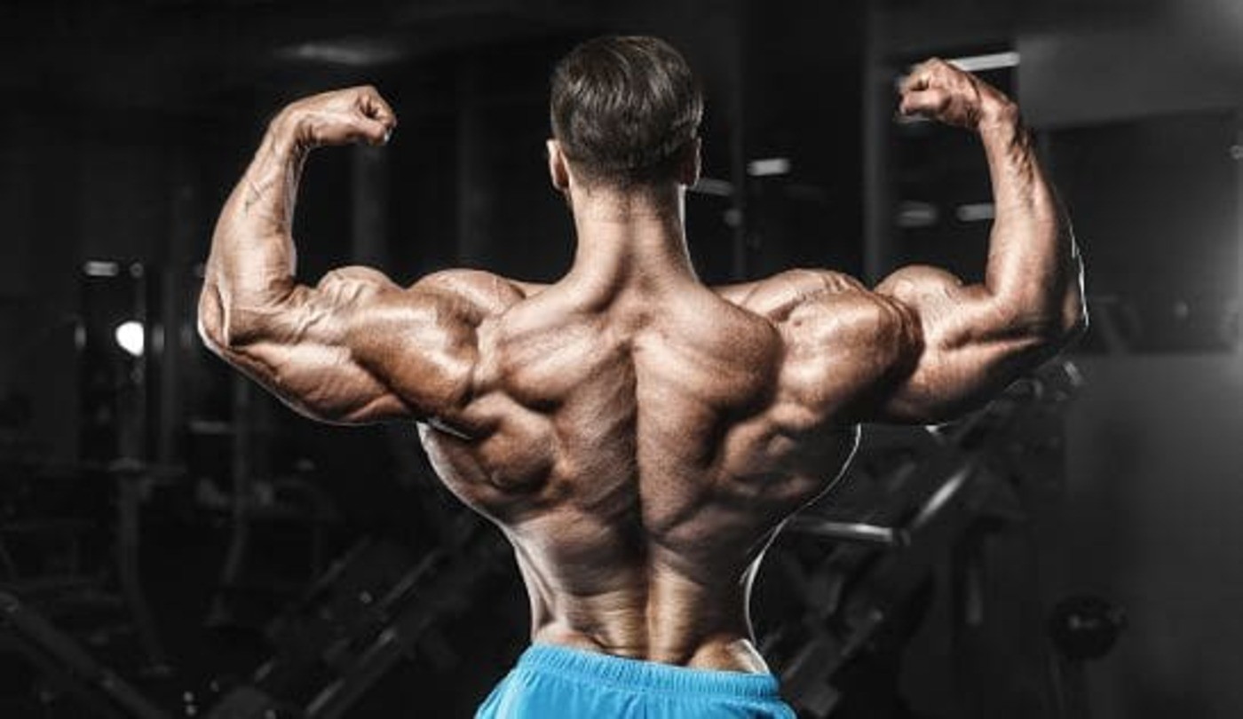 GldyHenry GldyHenry