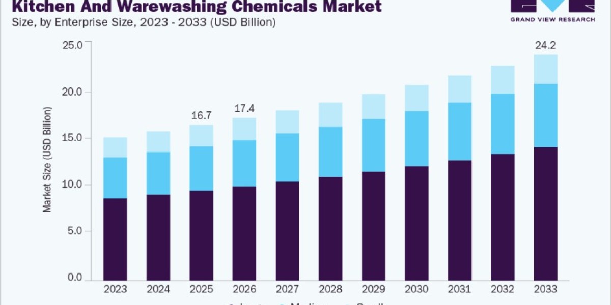Kitchen and Warewashing Chemicals Market Revenue Analysis Across Key Regions