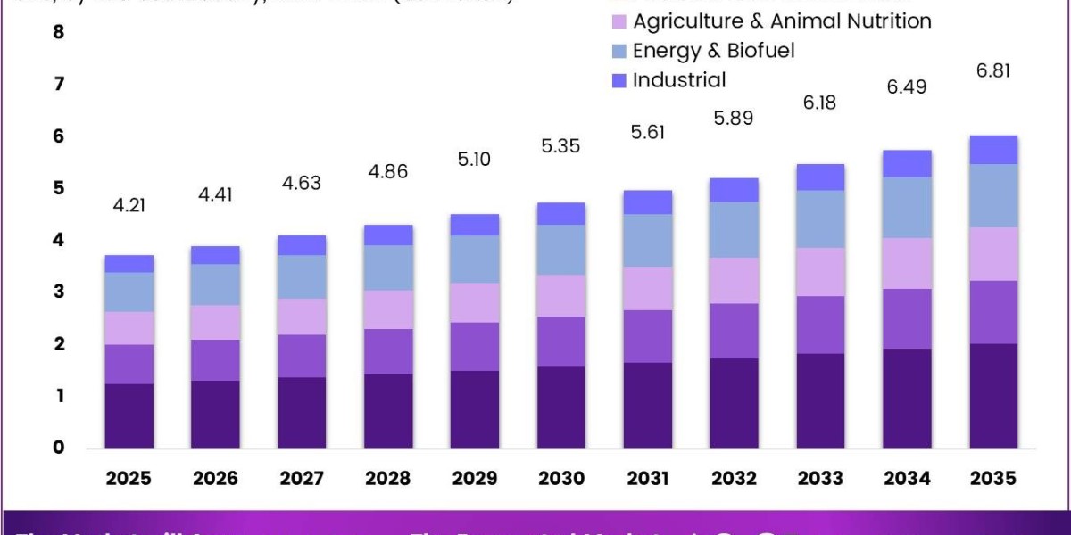 Beef Tallow Market Overview of Distribution and Processing Channels
