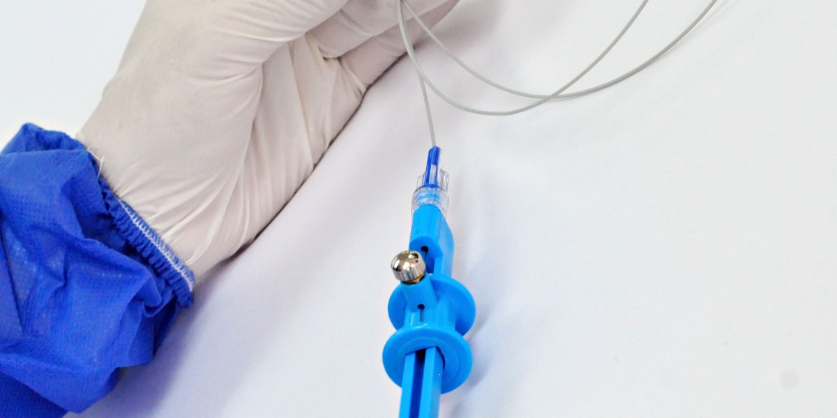 Global Nephroureteral Stents Market: Strategic Insights and Emerging Trends
