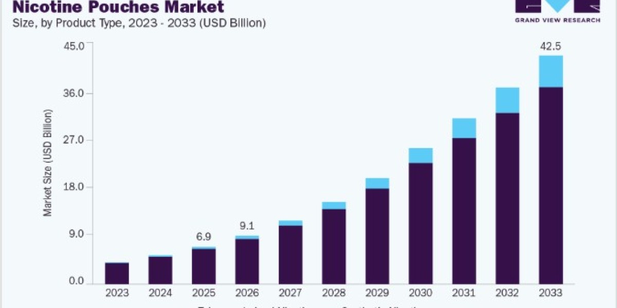 Nicotine Pouches Market Share and Competitive Landscape Analysis