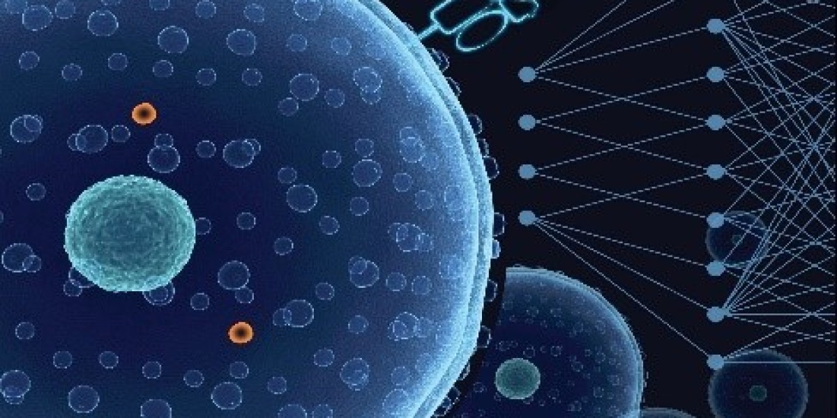 What Makes Phage QC “Audit-Ready” (Traceable Evidence, Not Just Numbers)