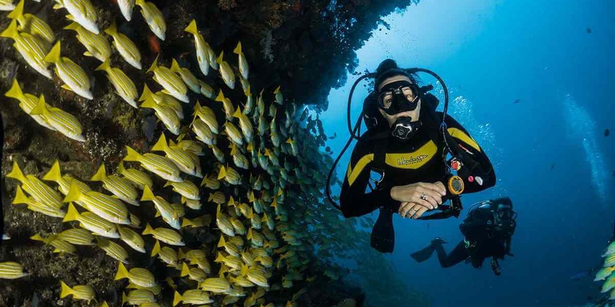 Scuba Diving through the Ages: A Journey Beneath the Surface