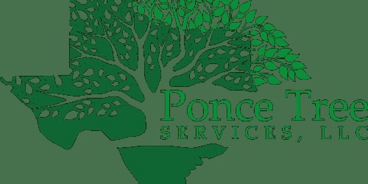 Why Professional Tree Care Matters for Homes and Businesses