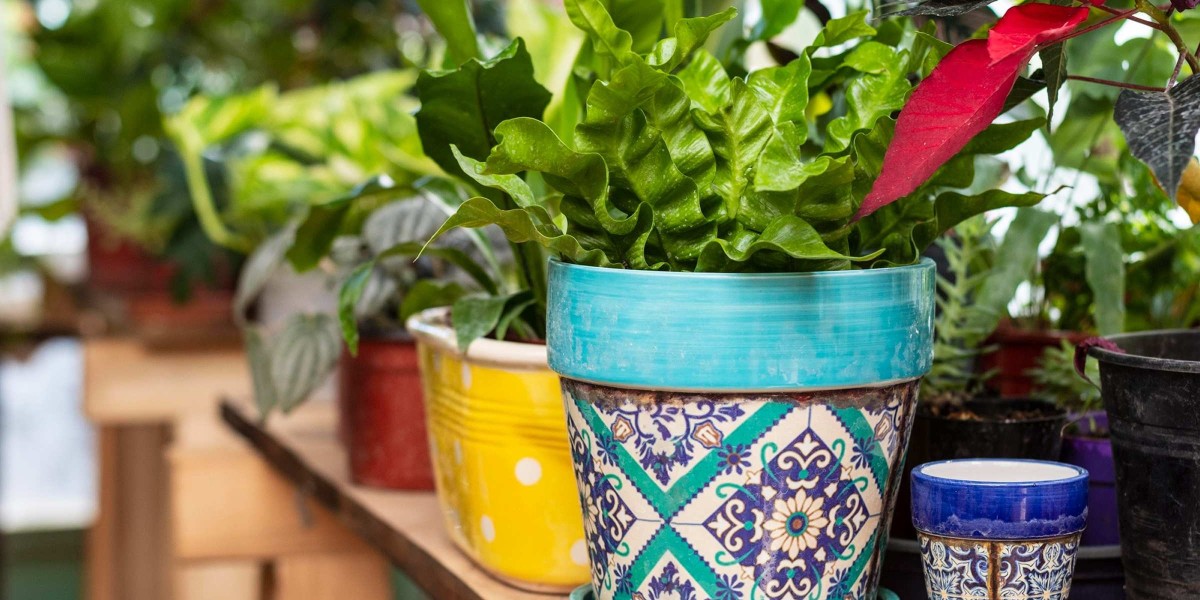 How to Choose the Best Annuals and Containers for Every Season