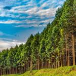 Ralph Farmer