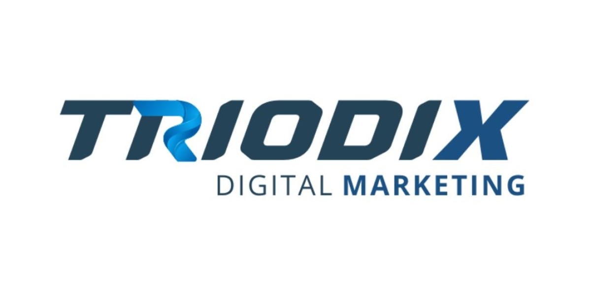 Why Triodix Stands Out Among Web Design & Development Services Companies in California