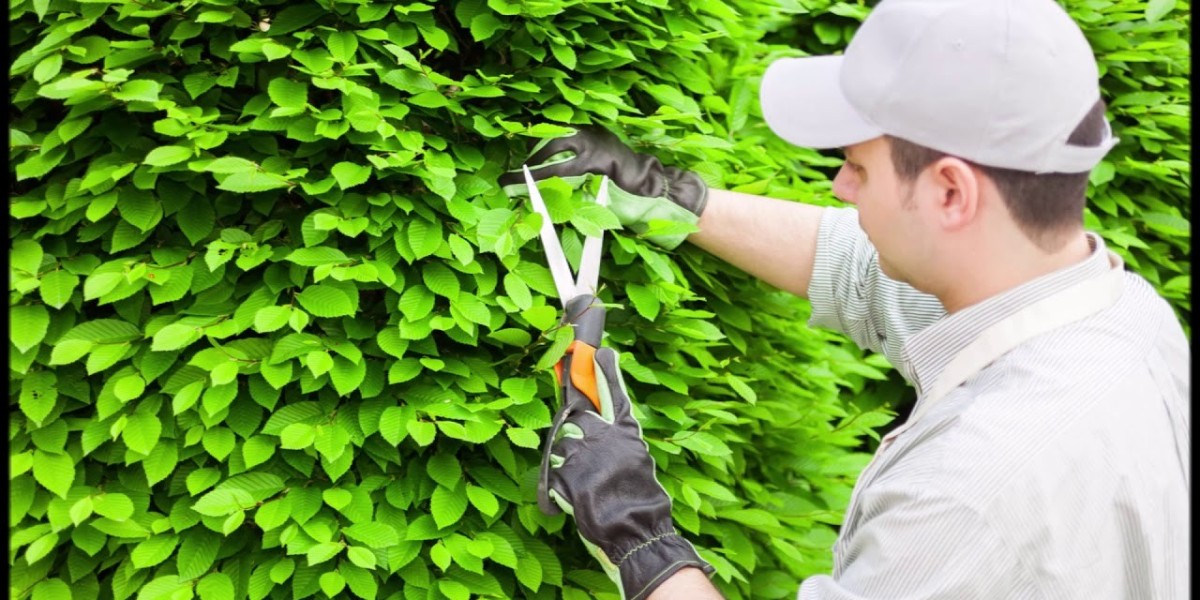 Shrubs in Bedford, KY: A Homeowner’s Guide to Choosing, Planting, and Maintaining Healthy Landscapes