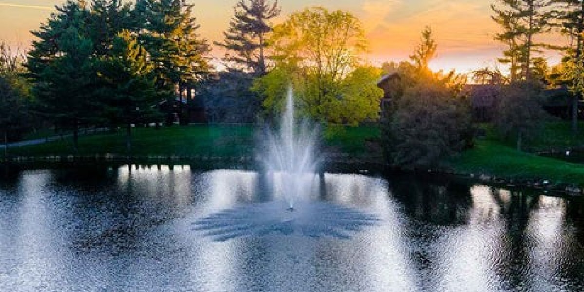 Are Pond Fountains Good for Fish? Everything You Need to Know