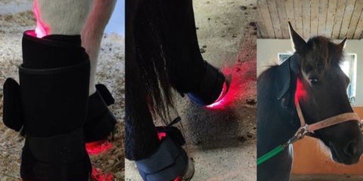 A Practical Guide to Using Red Light Technology in Modern Equine Care
