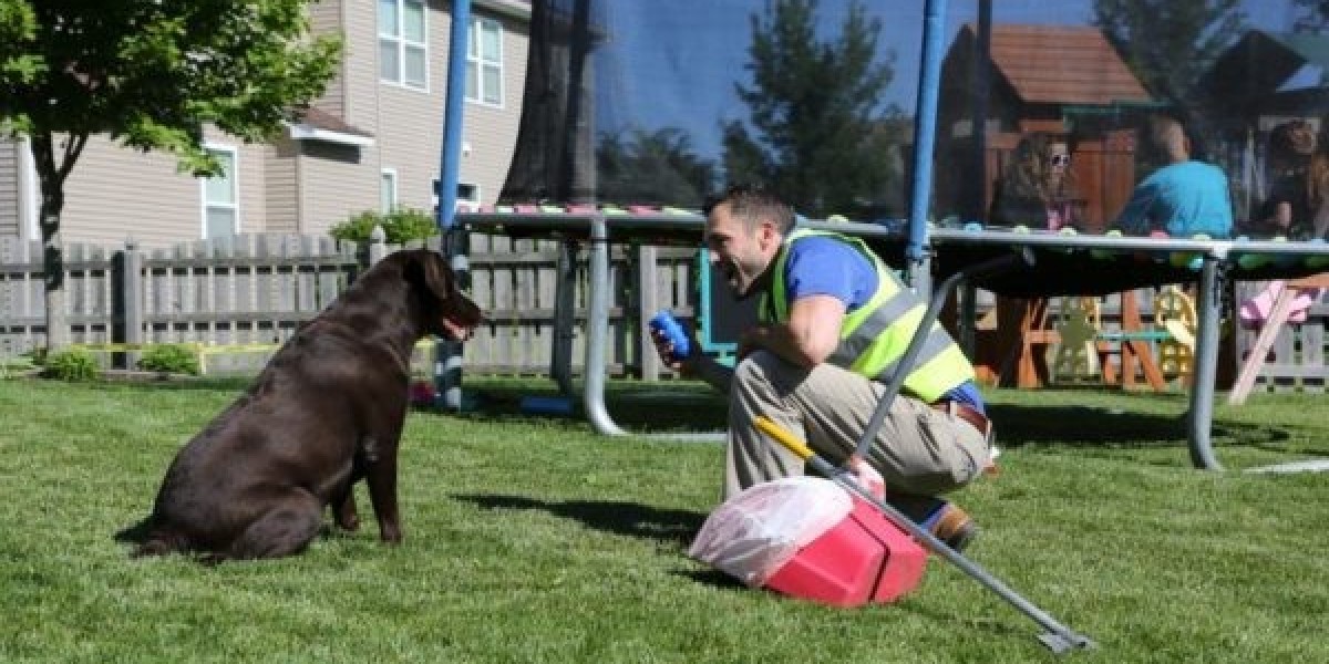 Why More Families Are Choosing Professional Pet Waste Removal Services