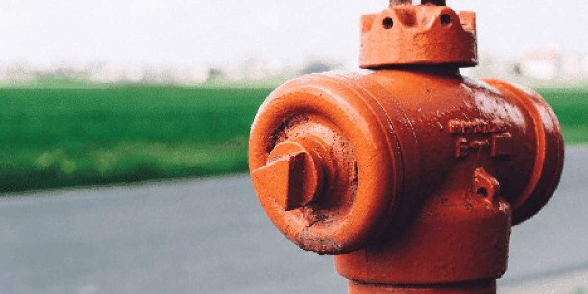 Why India Has Become a Global Leader in Valve Manufacturing and Automation