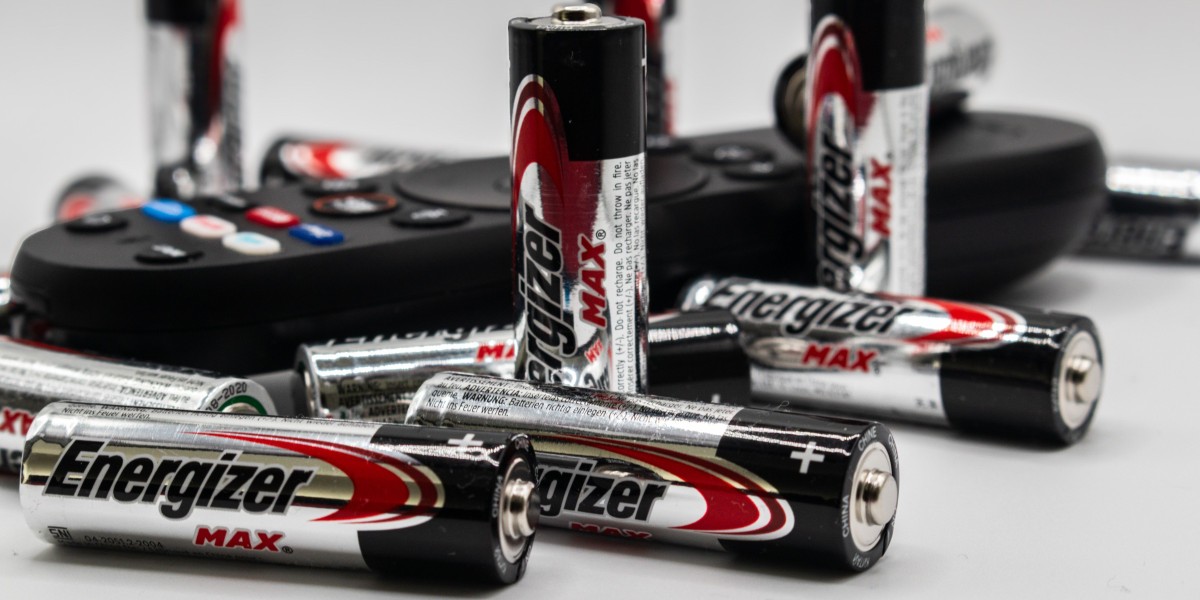 France Dual Carbon Battery Market: Accelerating the Future of Sustainable Energy Storage