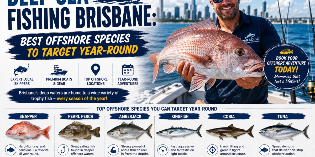 Deep Sea Fishing Brisbane: Best Offshore Species to Target Year-Round