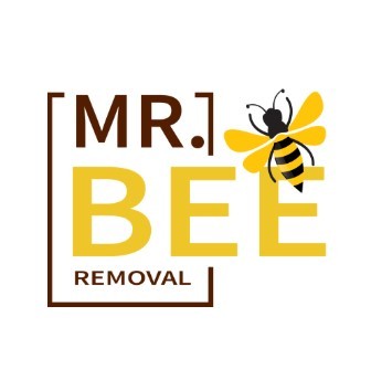 MrBeeRemoval