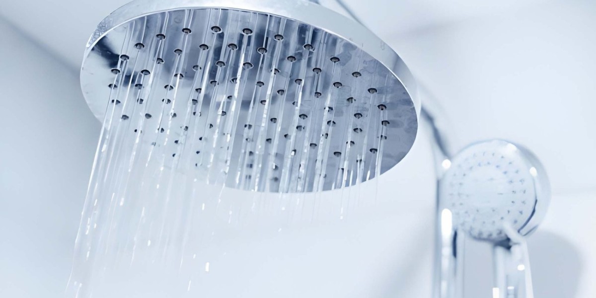 Best Shower Head Filter for Healthier Skin and Hair