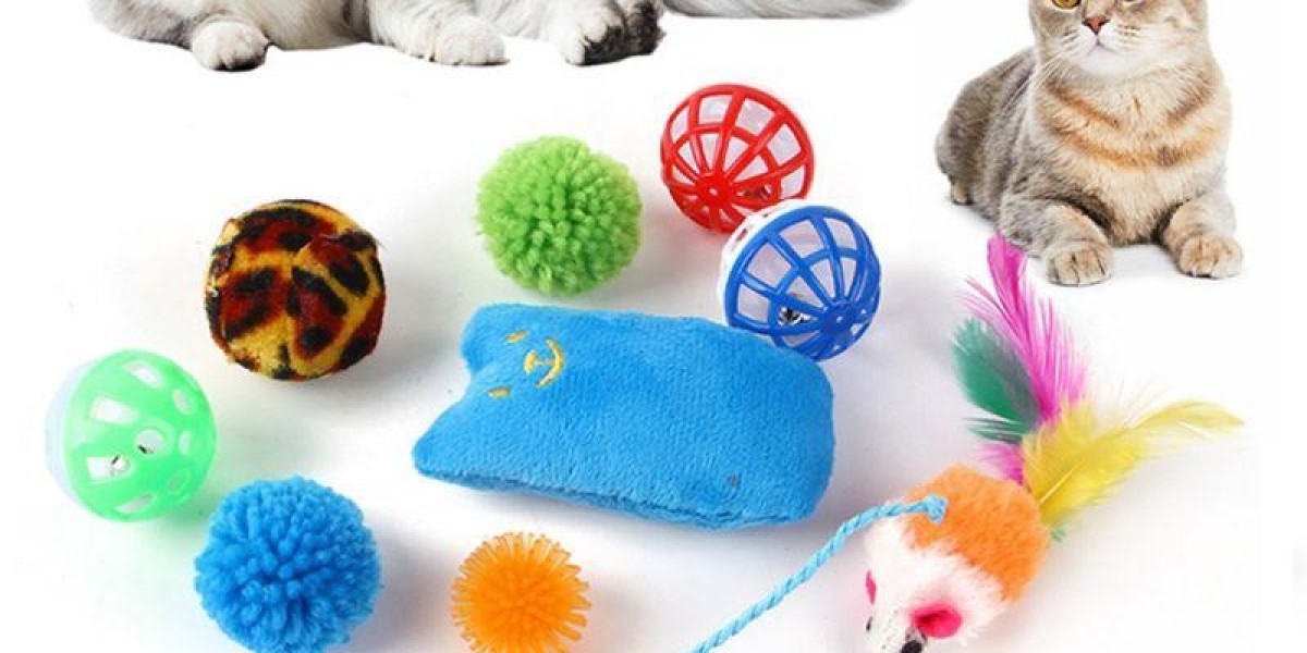 Affordable Cat Supplies in Australia for Every Cat Owner