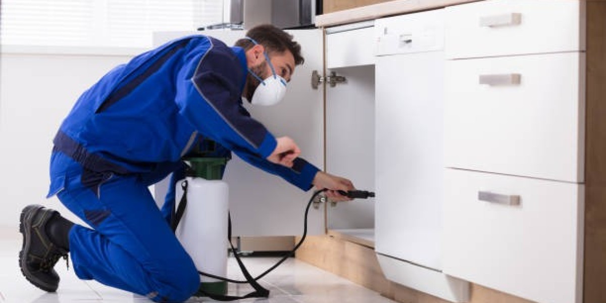 Professional Pest Control Services in Lahore for a Safe and Healthy Environment