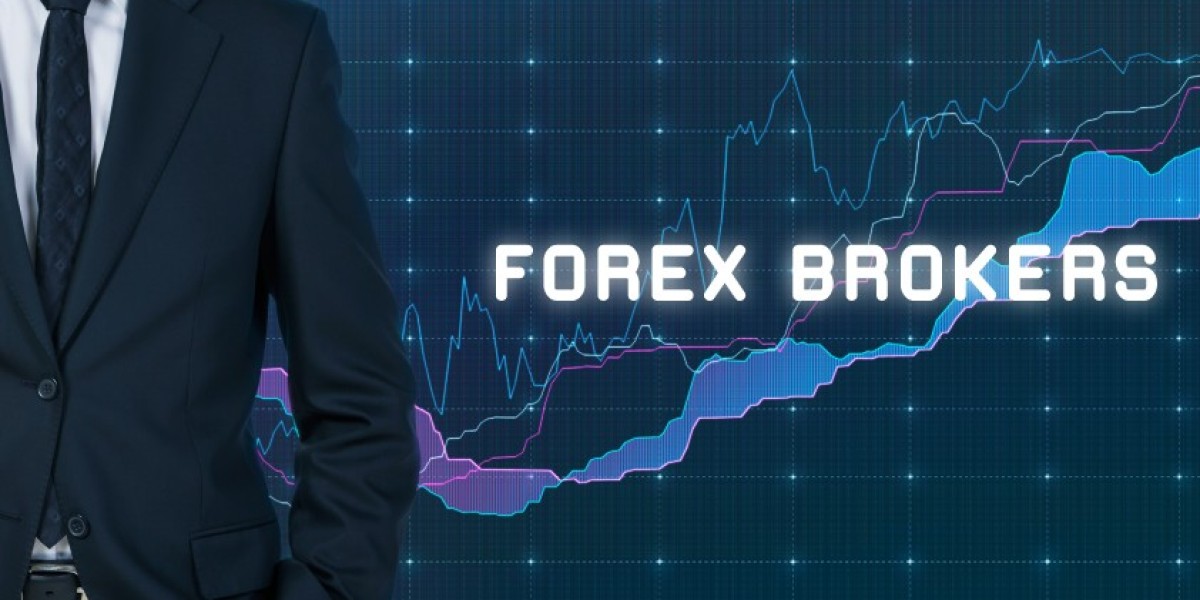 Best Forex Brokers 2026: How to Choose the Right Trading Partner