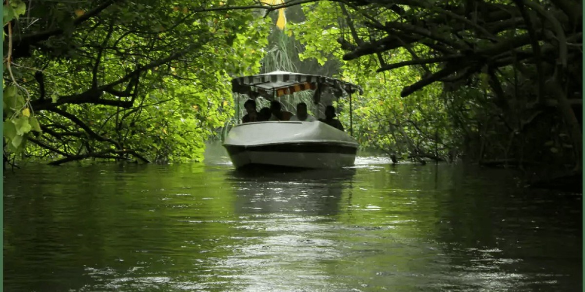 Poovar Boating Location: Discover Kerala’s Hidden Paradise on the Water