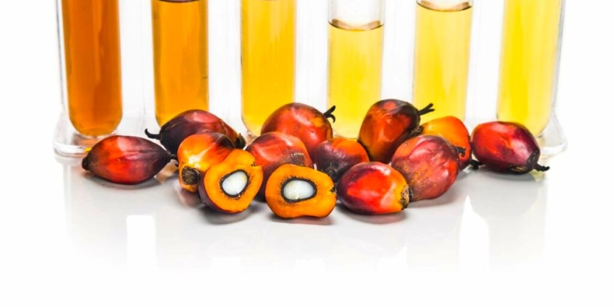 Hydrotreated Vegetable Oil Market: Meeting Global Demand for Sustainable Fuel Solutions