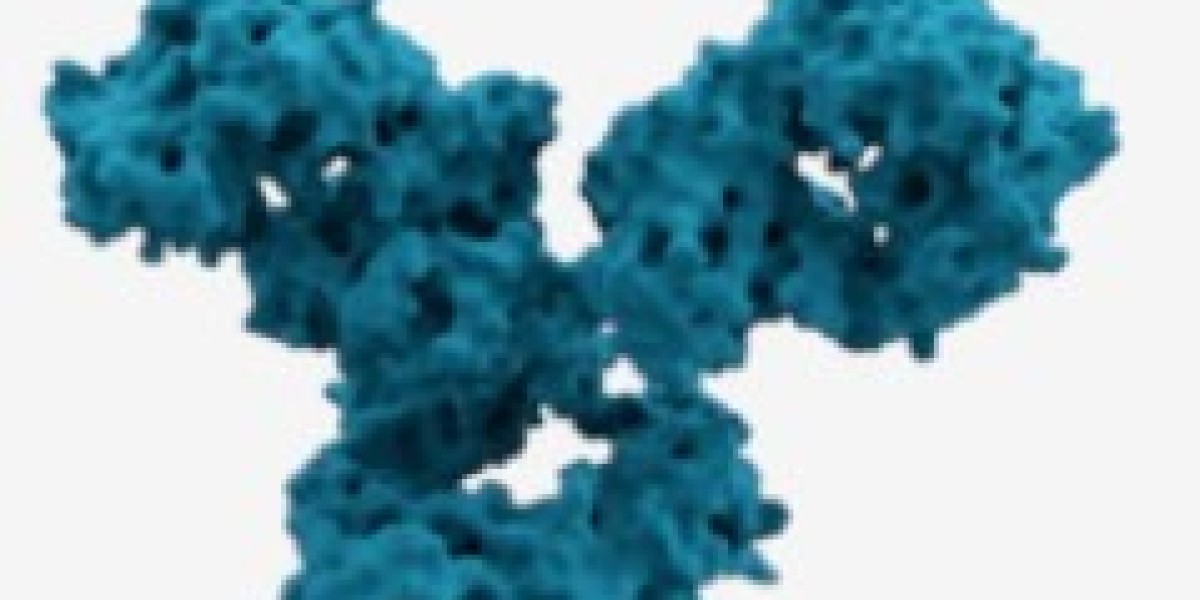 Navigating the Frontier: Technical Trends in Next-Gen Immune Checkpoint Antibody Discovery
