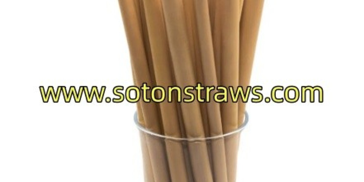 Where Can PP Straw Support Modern Food Service?
