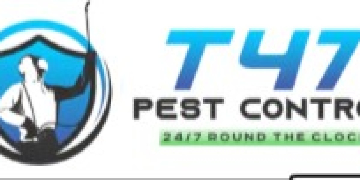Why DIY Pest Control Fails — And What Melbourne Homeowners Should Do Instead