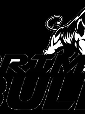 Prime Bull