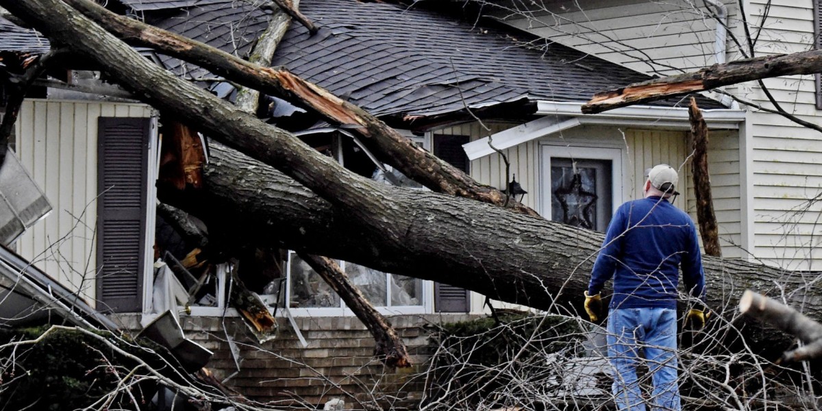 Storm Damage Repair Services in Alexander, AR: A Complete Guide to Protecting Your Residential and Commercial Property