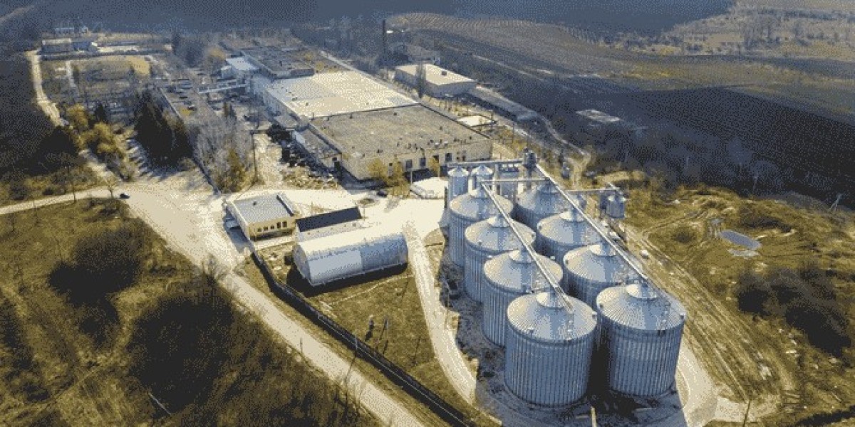 What Makes Biogas to Sustainable Aviation Fuel Essential