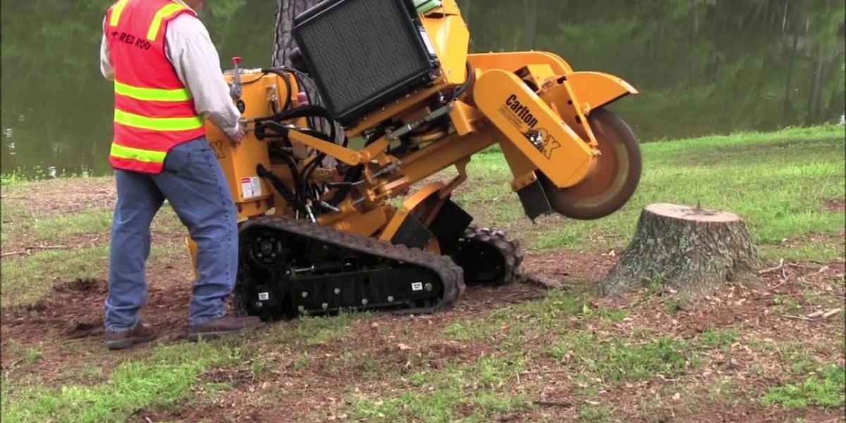 Top Benefits of Hiring a Stump Removal Service