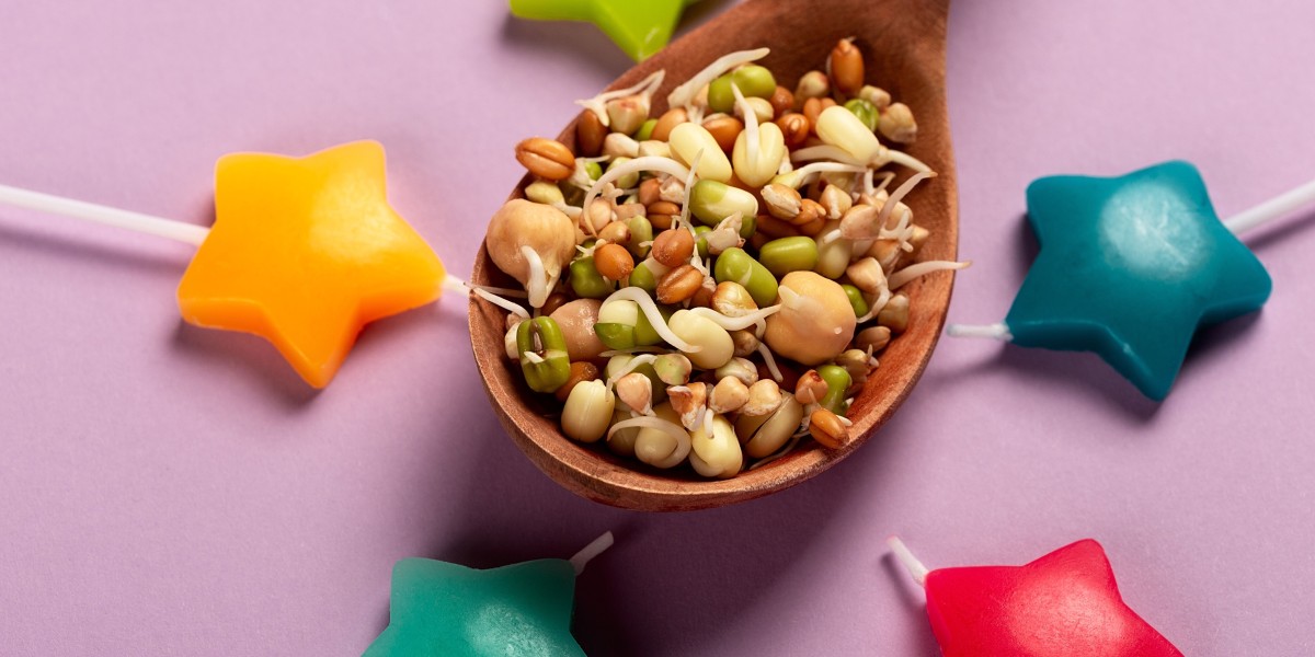 Mung Bean Paste Market | Segments, Size and Demand, Dynamics