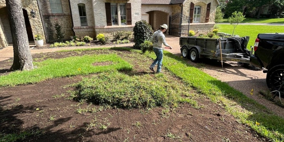 Professional Price To Install Sod Services Transform Your Property