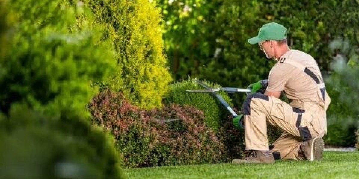 Landscaping Mistakes That Kill Curb Appeal