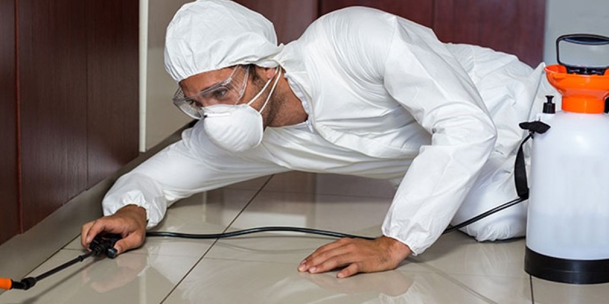 Best Ant Prevention Tips for USA Homeowners