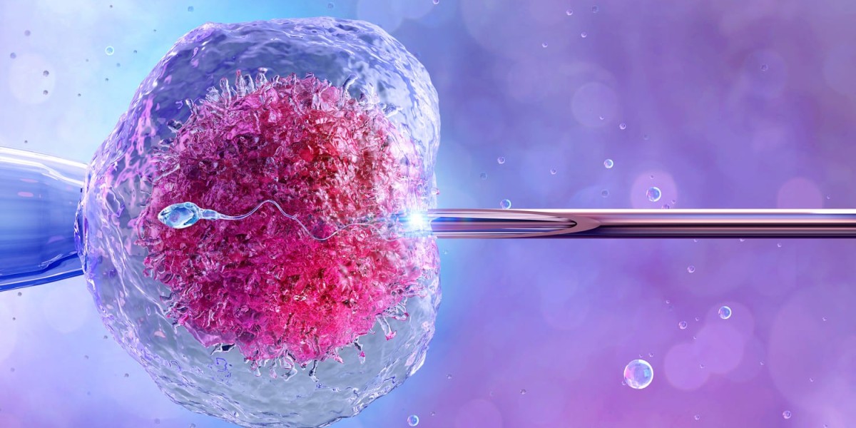 IVF Preparation - Understanding Fertility Before Starting Your IVF Journey