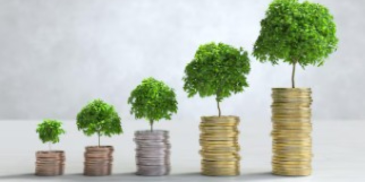 Strengthening Social Initiatives Through Education and Support