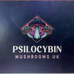 PSILOCYBIN Mushrooms UK profile picture