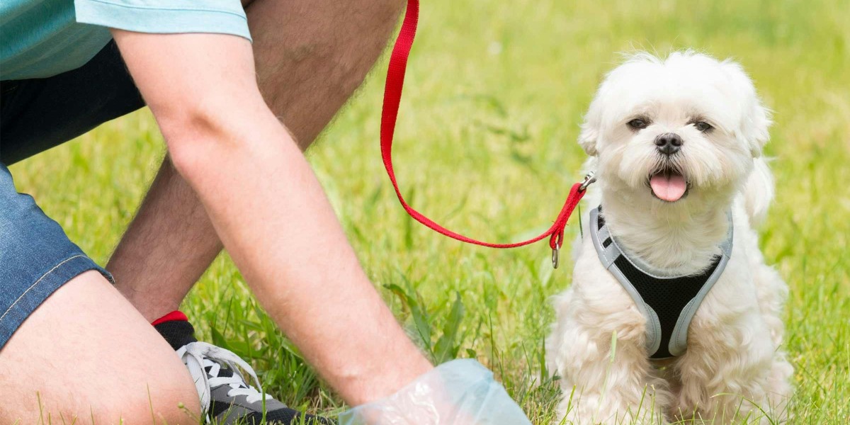 How Pet Waste Removing Services Help Improve Lawn Health and Safety